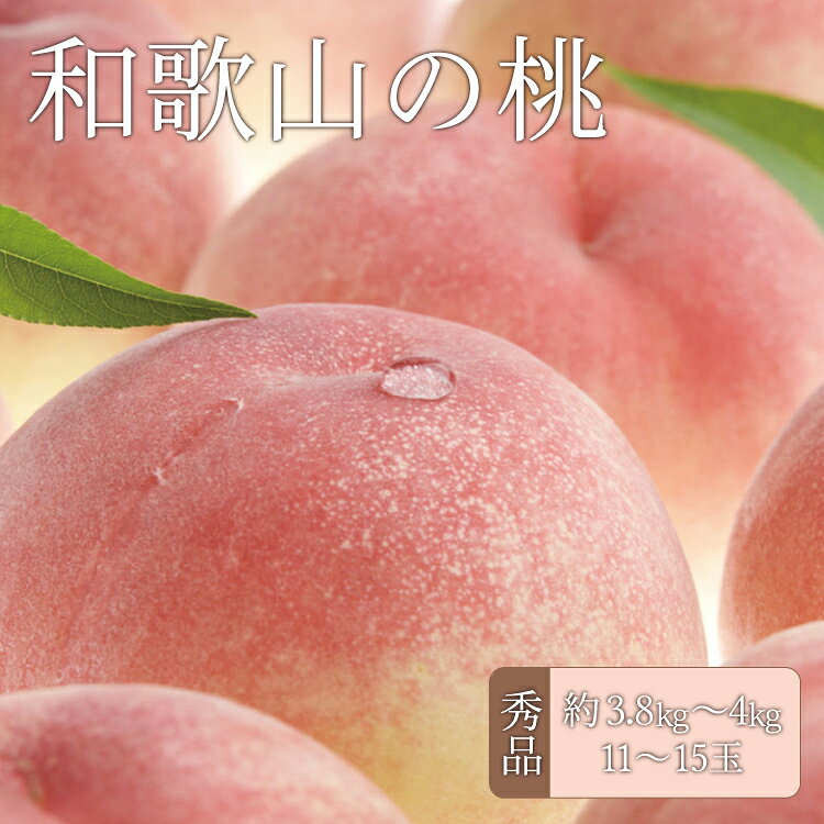 【ふるさと納税】 和歌山の桃 秀品 [約3.8〜4kg] (サイズ・品種おまかせ) 紀伊国屋文左衛門本舗 和歌山 もも モモ 桃 果物 フルーツ 人気 産地直送 和歌山県 お取り寄せ/ ※2027年6月中旬～2027年8月中旬頃に順次発送予定(お届け日指定不可)