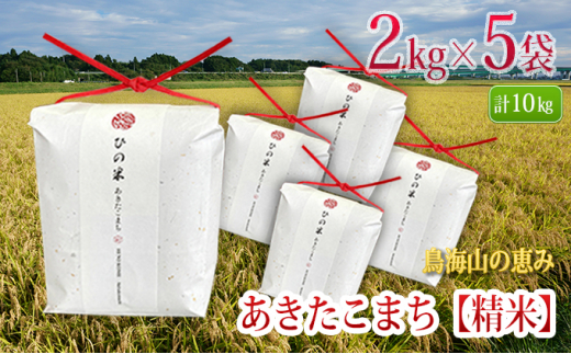 
秋田県産 あきたこまち 精米 10kg（2kg×5袋）神宿る里の米「ひの米」（お米 小分け）
