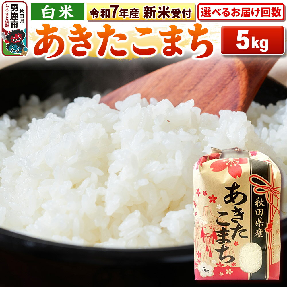 【ふるさと納税】《令和7年産 新米受付中》【白米】秋田県産 あきたこまち 5kg 秋田県 男鹿市 こまちライン【選べるお届け回数】