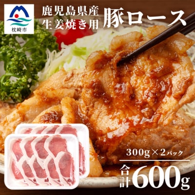 鹿児島県産豚 ロース しょうが焼き用 300g×2パック 豚ロース肉 生姜焼き A3−206【配送不可地域：離島】【1166400】