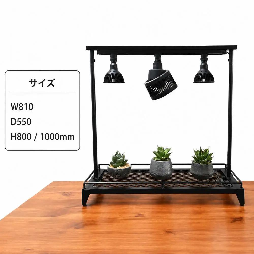 ライティングレール付き植物棚 ボタニカルラック Wstandard 〈丹波市〉 インテリア 家具
