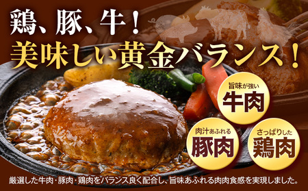 ハンバーグ 大容量！たっぷり 23個 入り 《30日以内に出荷予定(土日祝除く)》冷凍 大容量 23個 あか牛 国産 肉 牛肉 豚肉 鶏肉 クール便 温めるだけ 小分け 簡単 調理 特製 惣菜 デミグ