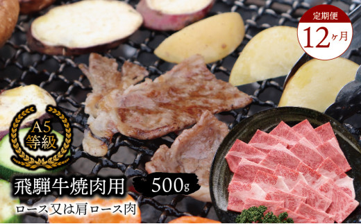 【１２ヶ月定期便】A5等級飛騨牛焼肉用500ｇロース又は肩ロース肉 2025/9/19～