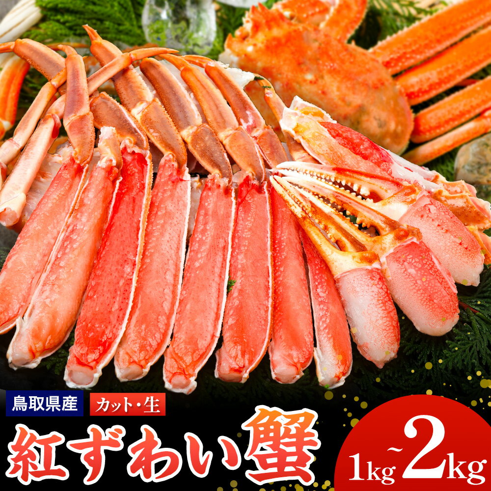 【ふるさと納税】蟹 生 紅ズワイガニ 蟹セレブ 選べる内容量 1kg 1.5kg 2kg giverichホールディングス《10月上旬-3月下旬頃出荷》鳥取県 八頭町 蟹 かに カニ 紅ズワイガニ 紅ズワイ 送料無料