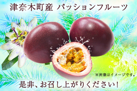先行予約 津奈木町産 パッションフルーツ 約1kg(12～16個) つなぎ南興FARM《7月上旬-7月中旬頃出荷》フルーツ 果物 熱帯果樹栽培 バニラアイス ヨーグルト 練乳