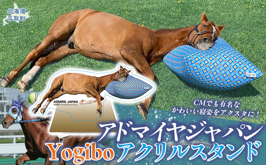 
                  【アドマイヤジャパン×Yogibo】Yogiboアクリルスタンド 【ふるさと納税 人気 おすすめ ランキング 馬 競馬 競走馬 引退馬 アドマイヤジャパン 日高 北海道 平取町 びらとり 送料無料】 BRTV043
                