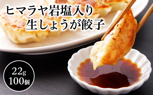 
                  ヒマラヤ岩塩入り生しょうが餃子(22g×100個)　【07208-0284】
                