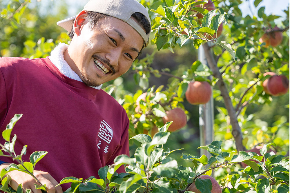 【25年9月〜発送】りんご 權之丞farm つがる 家庭用 約10kg（24〜40玉程度）