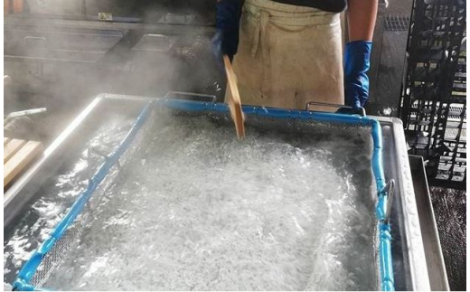 茹でたて釜揚げしらす　海の恵　500g【冷凍】無添加・無着色 / しらす シラス 釜揚げ 冷凍【mar102】