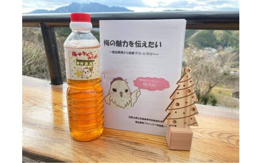 
                  地域の魅力を伝えたい～高校生開発商品の詰め合わせ～ (木製コースターほか梅関連製品) / 田辺市 神島高校 神島屋 神島 コースター 木製コースター 梅製品【ksm001】
                