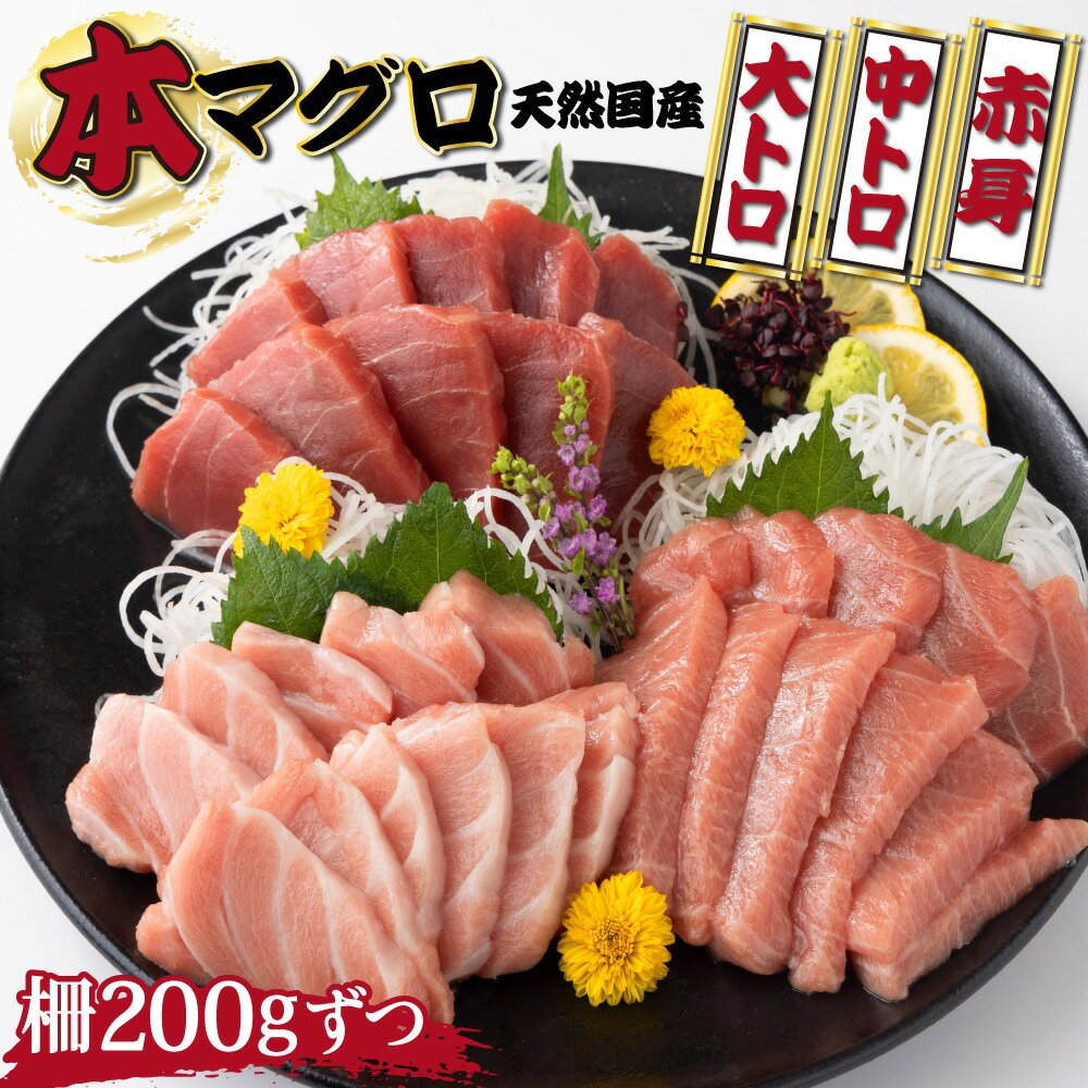 【ふるさと納税】【漁師直送】天然国産本マグロ 赤身・中トロ・大トロセット 計600g（赤身200g 1柵／中トロ200g 1柵／大トロ200g 1柵）天然 国産 本マグロ 魚介 漁師 直送 産直 産地直送 海鮮 惣菜 送料無料 ＜ii014＞