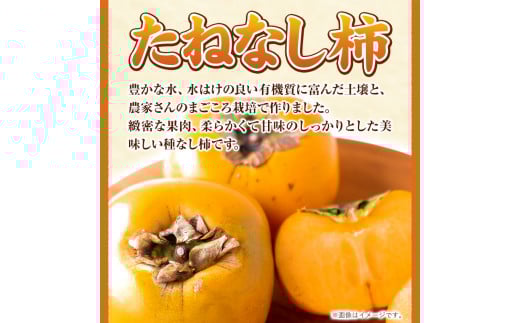 先行予約【秋の味覚】和歌山産のたねなし柿2L～4Lサイズ約4kg（化粧箱入り）厳選館《10月上旬-11月上旬頃出荷》カキかきジューシー---wshg_tmt253_10j11j_25_16000_4k