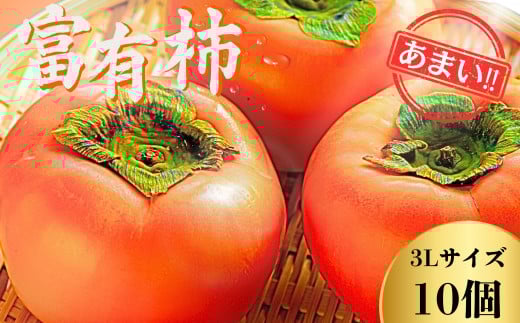 
            【先行予約】Farm m&aの富有柿 3L×10個 秀品 岐阜県 大野町（2025年11月下旬～発送）農家直送 果物 フルーツ 秋の味覚 柿 かき 富有 ふゆう
          