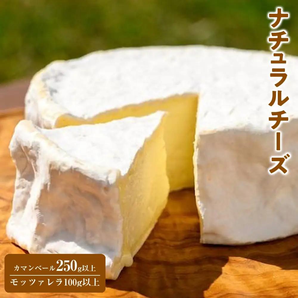 ナチュラルチーズ（カマンベール250g以上・モッツァレラ100g以上）