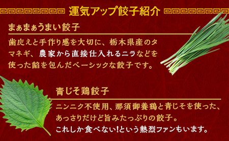 【定期便12回】宇都宮餃子 運気アップ餃子 那須御養鶏の餃子（90個×12回　合計1,080個）【配送不可地域：離島】