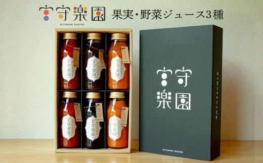 
            宮守楽園 ジュース 3種 合計 6本 セット 宮守川上流生産組合 野菜 フルーツ 果物 遠野市 宮守町 加工 100%
          