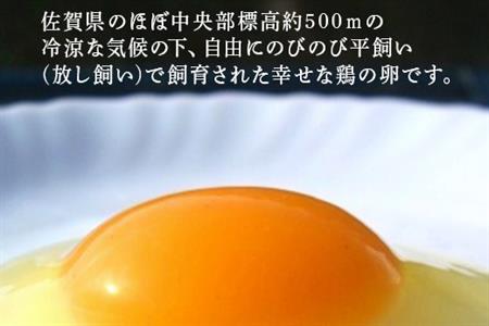 放し飼い！七山たまご 20個箱×4(合計80個) (大玉) 玉子 生卵 鶏卵 佐賀県唐津産