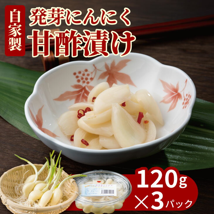 【ふるさと納税】 発芽 ニンニク 甘酢漬け セット（3パック）にんにく 臭い少なめ【A070-036】