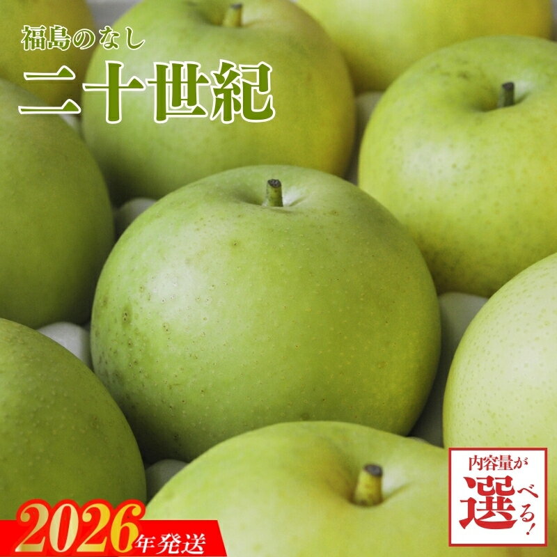 【ふるさと納税】梨　なし　二十世紀　 約2kg 約3kg 約5kg【2026年発送】円和 青果部 フルーツ 果物 お取り寄せ おとりよせ 福島 ふくしま 福島市 和梨 青梨