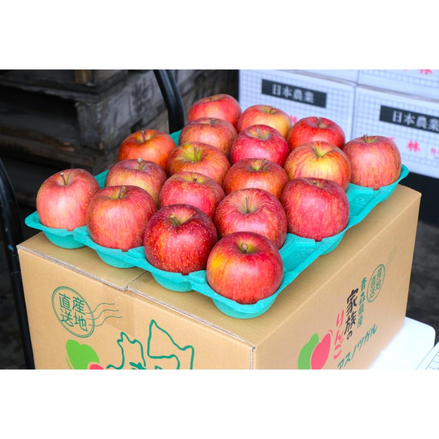サンふじ贈答用5kg/平均糖度13度以上(2月発送)