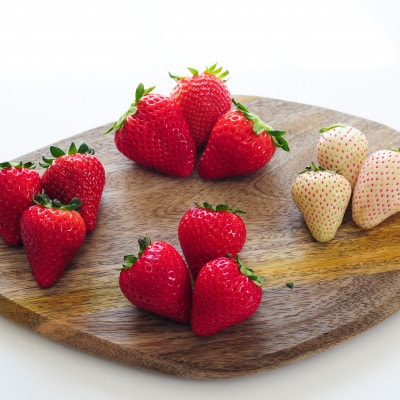 【春いちご】栃木のいちご食べ比べ!「2品種組み合わせ!」セット(260g×2パック)【配送不可地域：離島・沖縄県】