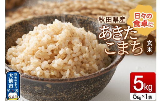 米 あきたこまち【玄米】5kg（5kg×1袋）令和7年産 秋田県産 [玄米 ブランド米 5キロ 小分け 秋田県 大仙市 新興エコファーム]