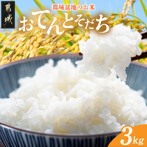 都城盆地のお米「おてんとそだち」3kg_LG-15-006-3kg