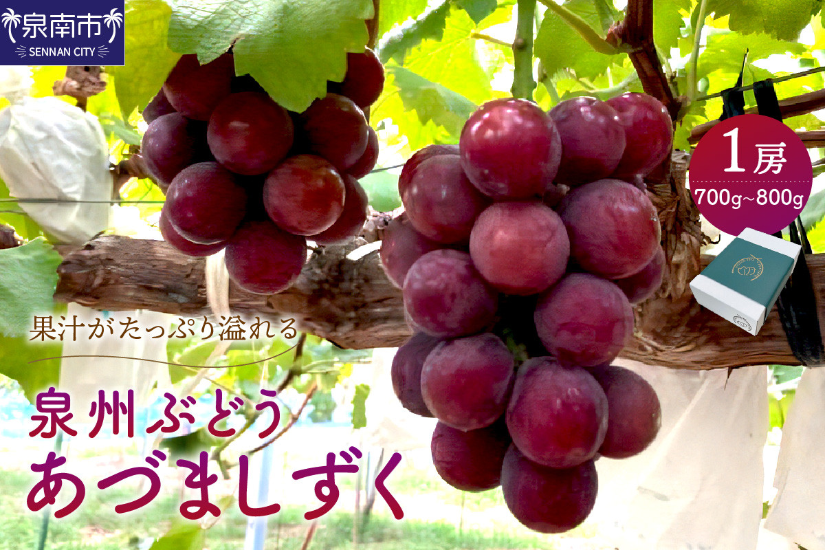 
泉州ぶどう あづましずく 1房【065D-009】
