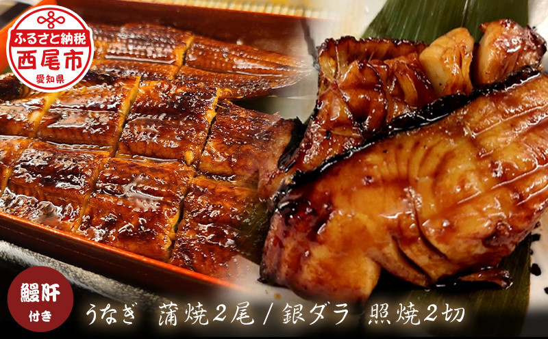 
三河一色うなぎ蒲焼き2尾(中サイズ)、銀ダラ2切　肝焼き付き・F022-19
