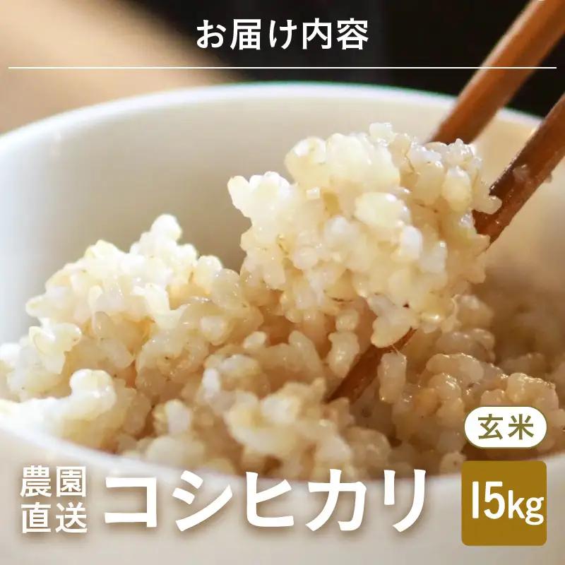 【先行予約】【令和8年産・新米】【玄米5kg×3袋】福井県産 コシヒカリ15kg ～本原農園からまごころコメて～ 【2026年10月上旬以降順次発送】 [C-8914_02]