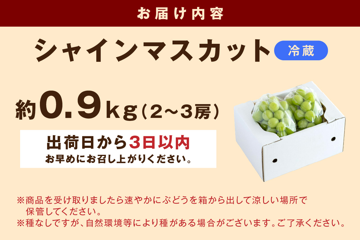根域制限シャインマスカット 約0.9kg 2～3房《9月中旬頃から発送》 果物 シャインマスカット 【183_1873】