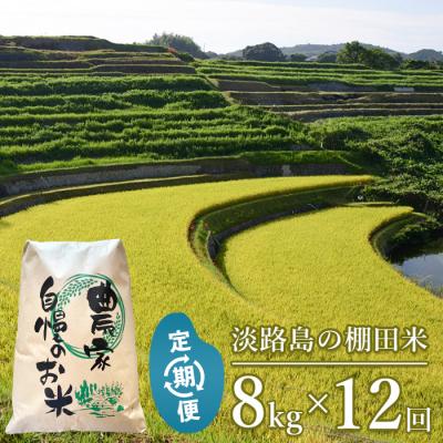 ふるさと納税 淡路市 【定期便】淡路島の棚田米 8kg×12回(毎月発送)　ae01105