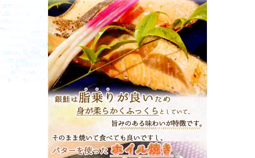 【毎月定期便】魚鶴お楽しみ海鮮3種セット(銀鮭切身・うなぎ蒲焼・銀だら切身)全3回    / 銀鱈 さけ だし うなぎ たら 魚 切り身 切身 魚 海鮮 焼き魚 ご飯のおとも おかず【tkb418】