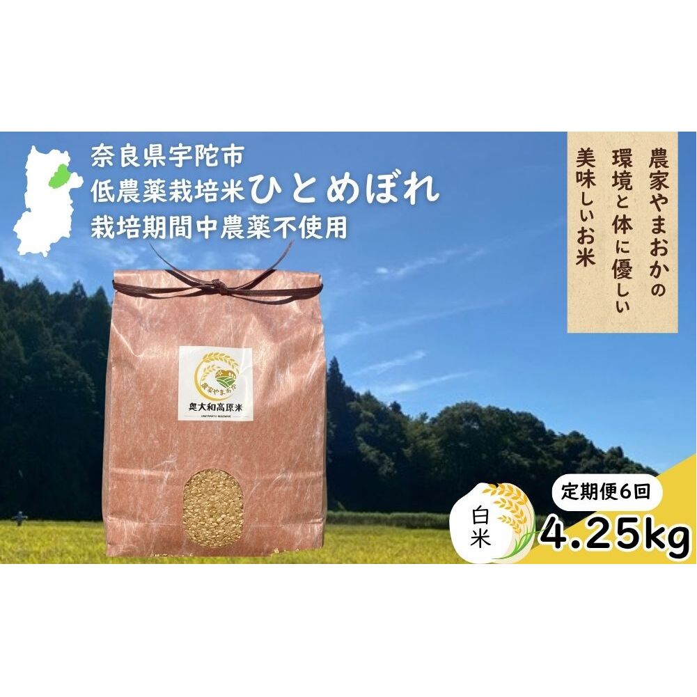 【定期便6回】ひとめぼれ 低農薬栽培＜令和7年産 白米 4.25kg ＞ / ふるさと納税 低農薬 米 お米 こめ コメ 国産 新米 玄米 一等米 農家やまおか 奈良県 宇陀市