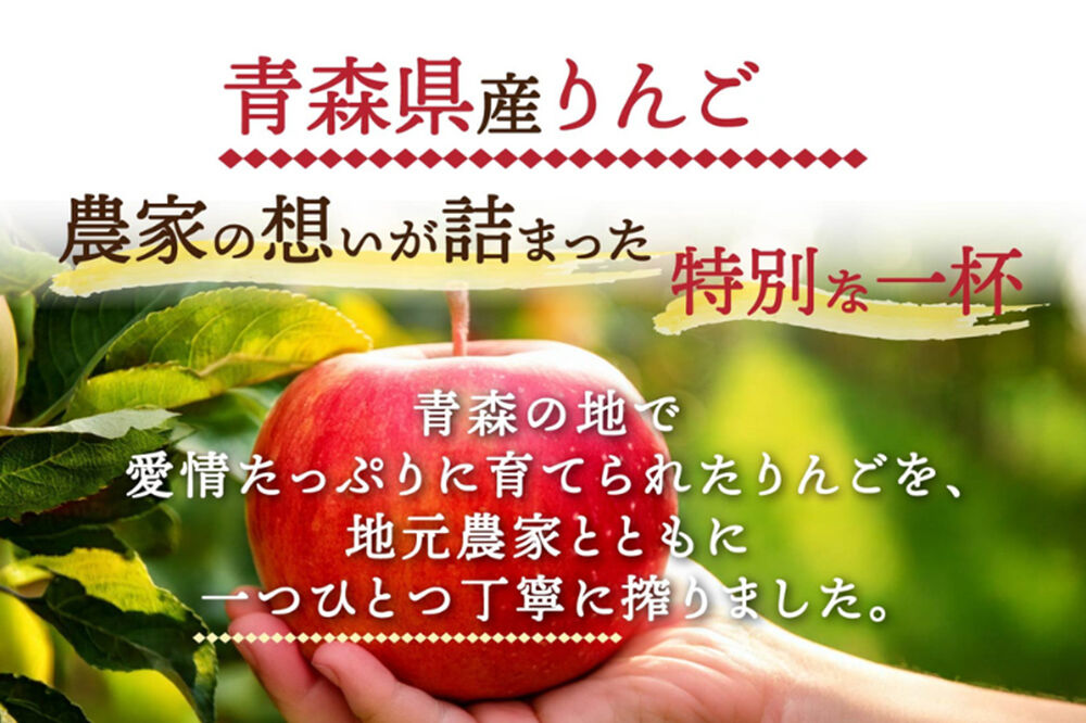 りんごジュース 1L×6本 ストレート果汁100％ 青森県産 弘前市