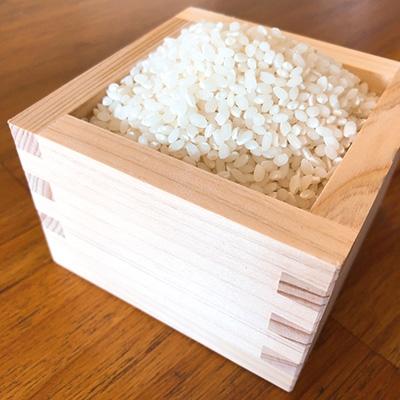 ふるさと納税 長浜市 【令和6年産】滋賀県長浜市　お米が甘い!特別栽培”ミルキークイーン”　5K×2　白米 |  | 03