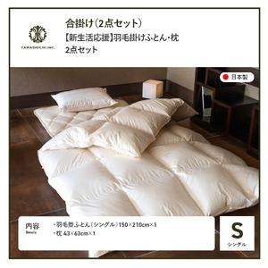 布団 【新生活応援】羽毛合い掛けふとん 枕 2点セット(シングル) 布団