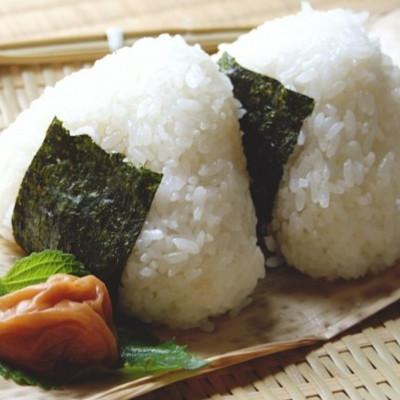 ふるさと納税 広川町 【毎月定期便】福岡有明のり　訳あり!　味付海苔　20g×2袋(広川町)全2回 |  | 02