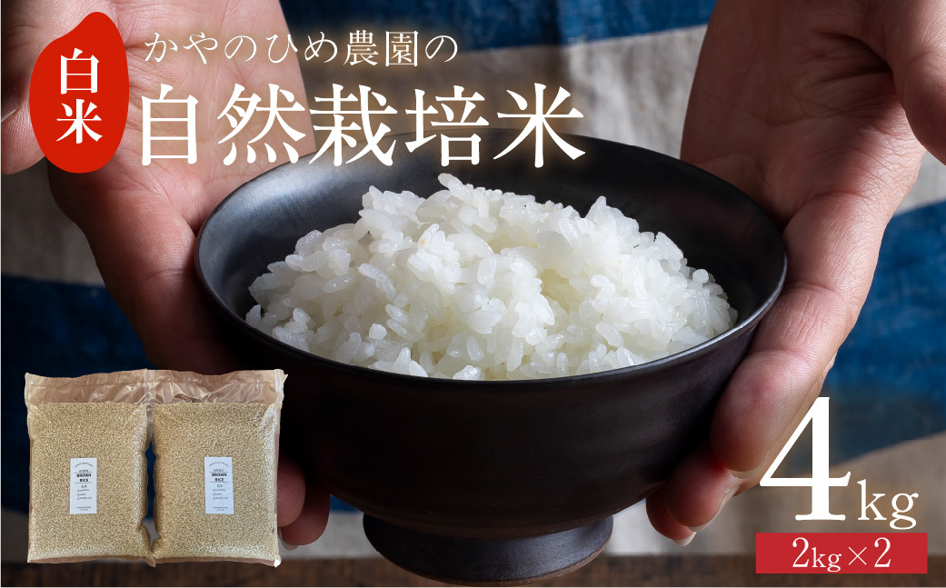 
            【先行予約】 かやのひめ農園 自然栽培米 【令和7年産】白米 4kg / 5kg (コシヒカリ) 米 自然栽培 自家採種 農薬不使用 愛知県 田原市
          