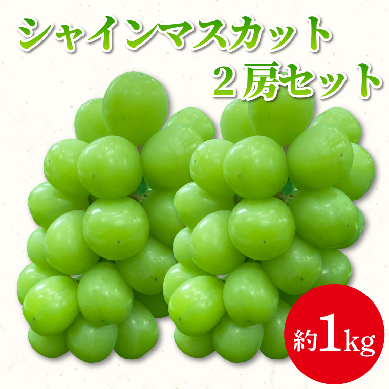 【9月下旬発送予定】シャインマスカット2房セット 約1kg フルーツ王国 紫波町(DH006)