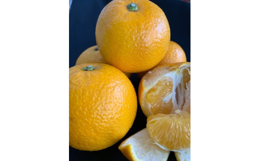 
はっさく 赤秀品 約5kg（3L・2L/サイズ指定不可）
