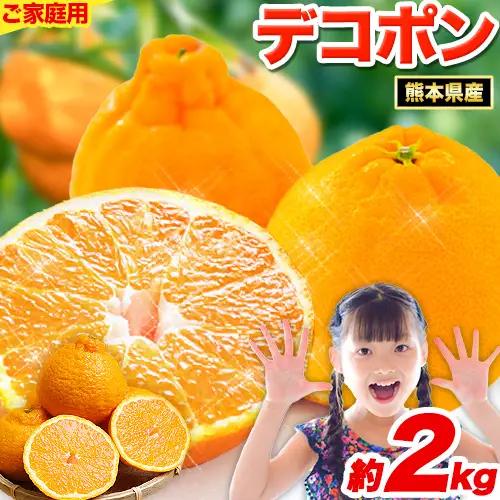 先行予約 デコポン 訳あり デコポン 約 2kg 前後 (4-10玉前後) 《2月上旬-4月上旬頃出荷》不知火と同品種 フルーツ 果物 みかん 柑橘