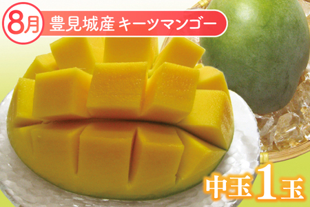 【2024年発送】沖縄フルーツ定期便（8・9・10月コース）