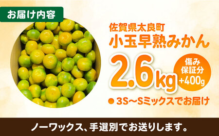 ★小玉★早熟みかん 計3kg（2.6kg＋400g傷み保証分） / 佐賀県 / 山本農園 [41ATBT005]