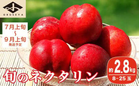 旬のネクタリン 約2.8kg 8～25玉 ［小布施屋］ 果物 フルーツ 桃 もも 長野県産 小布施 冷蔵便 クール便 産地直送 数量限定 送料無料 令和8年産 【2026年7月上旬～9月上旬発送】［A-3］