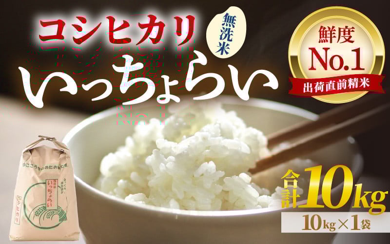 
            【先行予約】【令和7年産・新米】【一等米】いっちょらい 無洗米 10kg×1袋 ／ 福井県産 ブランド米 コシヒカリ ご飯 白米 新鮮 大賞 受賞 【2025年9月下旬より順次発送予定】 [aw012-b009]
          