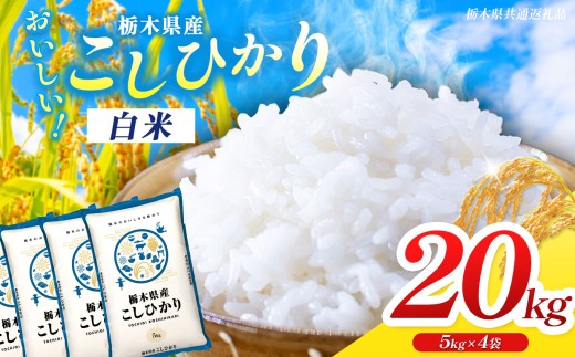 【栃木県共通返礼品】【先行予約】【令和8年度産】 訳あり 栃木県産コシヒカリ 20kg | ふるさと 納税 コシヒカリ お米 精米 白米 共通返礼品 送料無料 那珂川町 栃木県