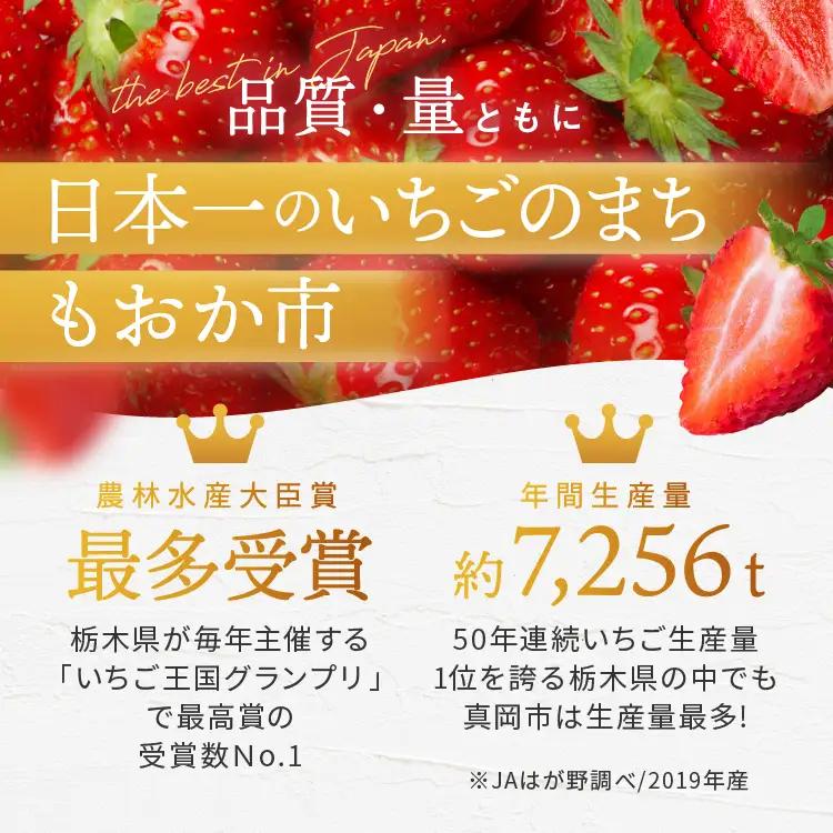 スカイベリー（贈答向け）【1月発送】280ｇ×2p 真岡市 栃木県 送料無料