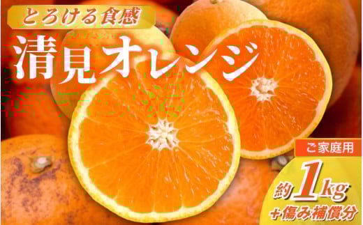 ＜2月より発送＞家庭用 清見オレンジ 1kg+250g（傷み補償分）【光センサー食頃出荷】【樹上完熟きよみオレンジ・清見タンゴール・清美】【わけあり・訳あり】 / オレンジ 清見 おれんじ みかん 柑橘 有田 和歌山 産地直送  くだもの 果物 フルーツ 柑橘類 和歌山 すさみ町【ikd164B】