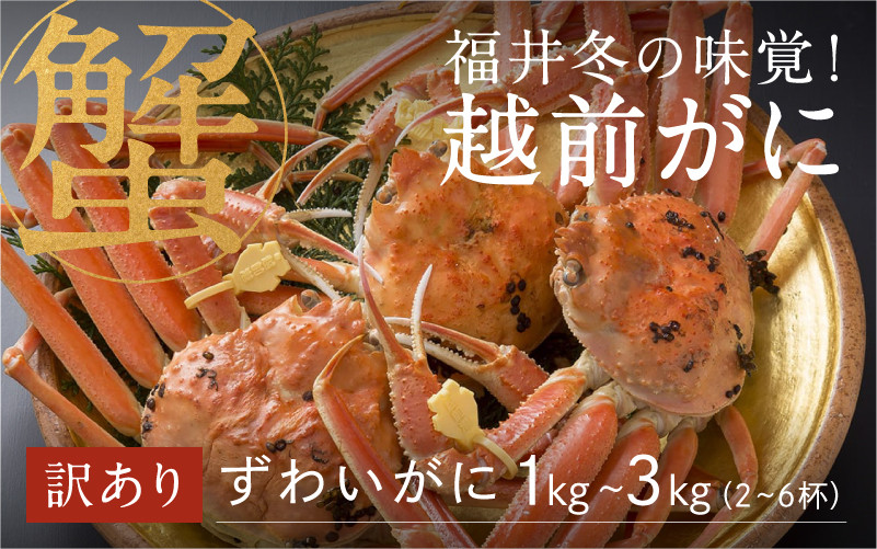 
            【選べる容量！産地直送】福井の冬の王様！【訳あり】越前がに  [H-00916] / ズワイガニ ズワイ蟹 ずわい蟹 ずわい 剥き身 脚 爪 脚 かにしゃぶ カニ鍋 蟹 お歳暮 カニ かに
          